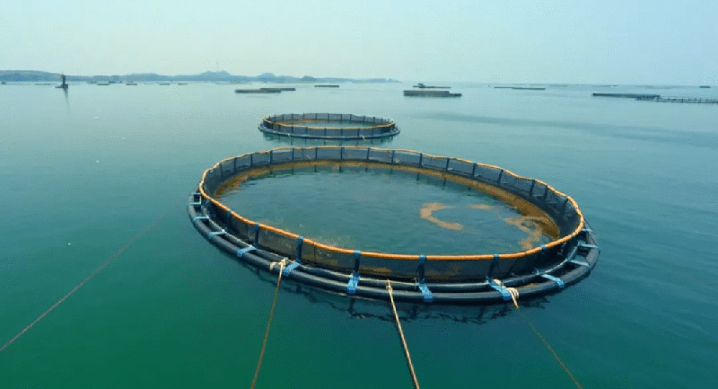 水產(chǎn)養(yǎng)殖行業(yè)