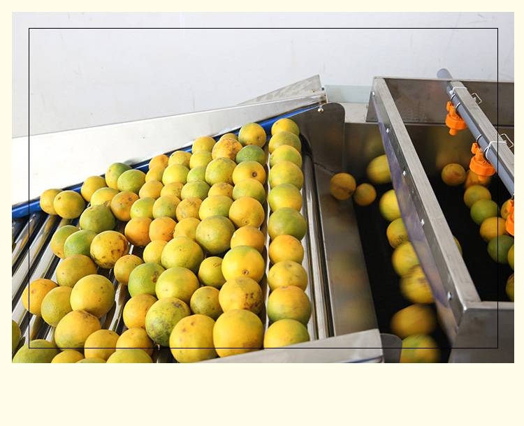 食品加工行業(yè)